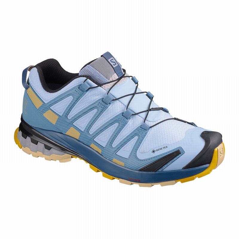 Zapatillas Trail Running Salomon Mujer Azules - Salomon Argentina XA PRO 3D V8 GORE-TEX ,859460-JUP